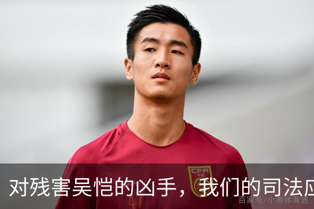 对残害吴恺的凶手，我们的司法应果断亮剑、坚决严惩！