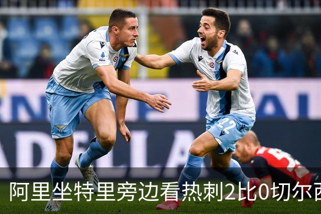 阿里坐特里旁边看热刺2比0切尔西，赛后发空座位调侃